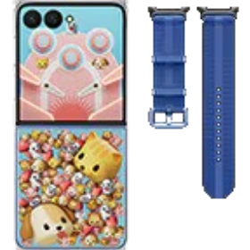 Accessory